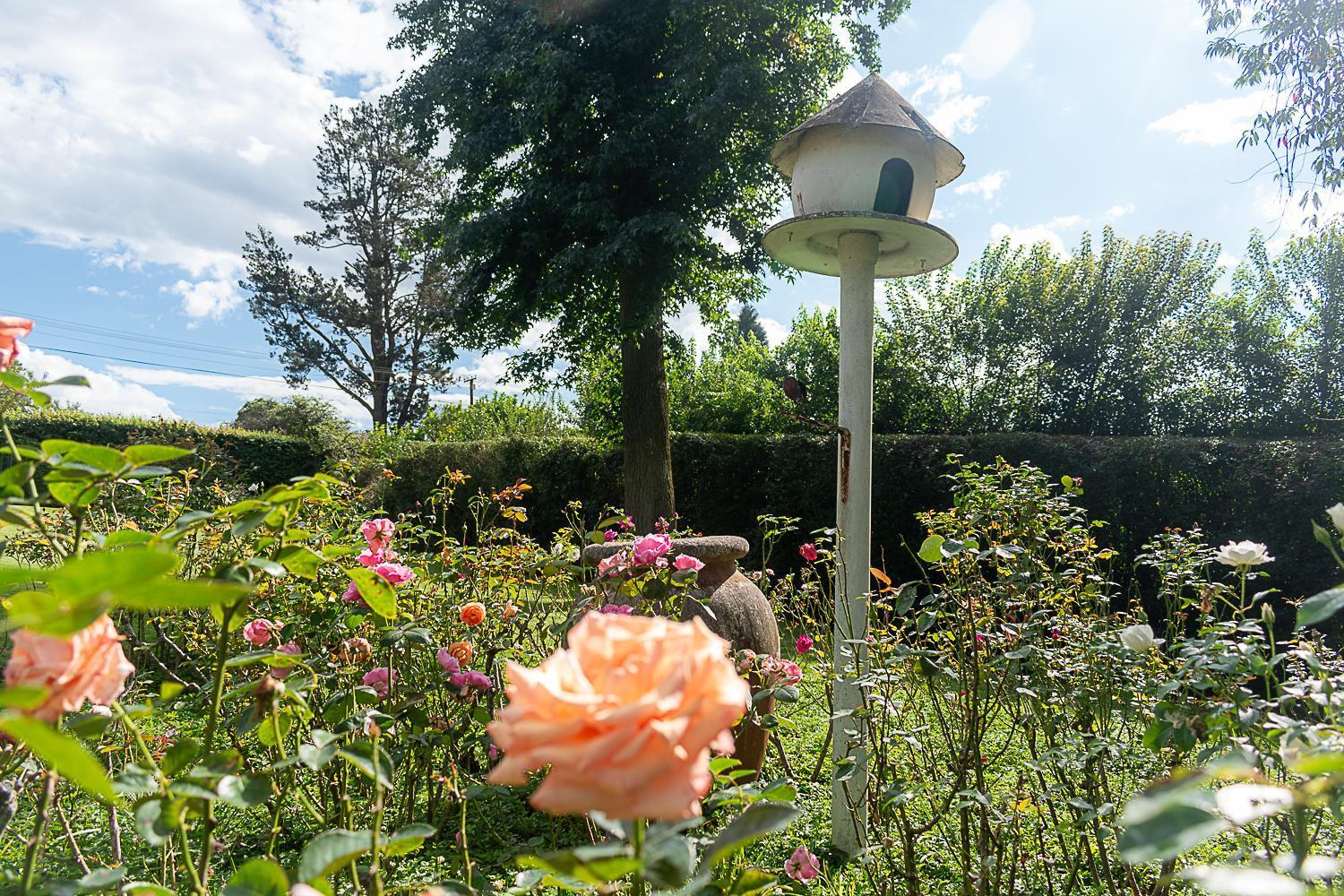 Rosedale Self Catering With Pool And Large Entertainment Bbq Area Holiday home Henburg Park